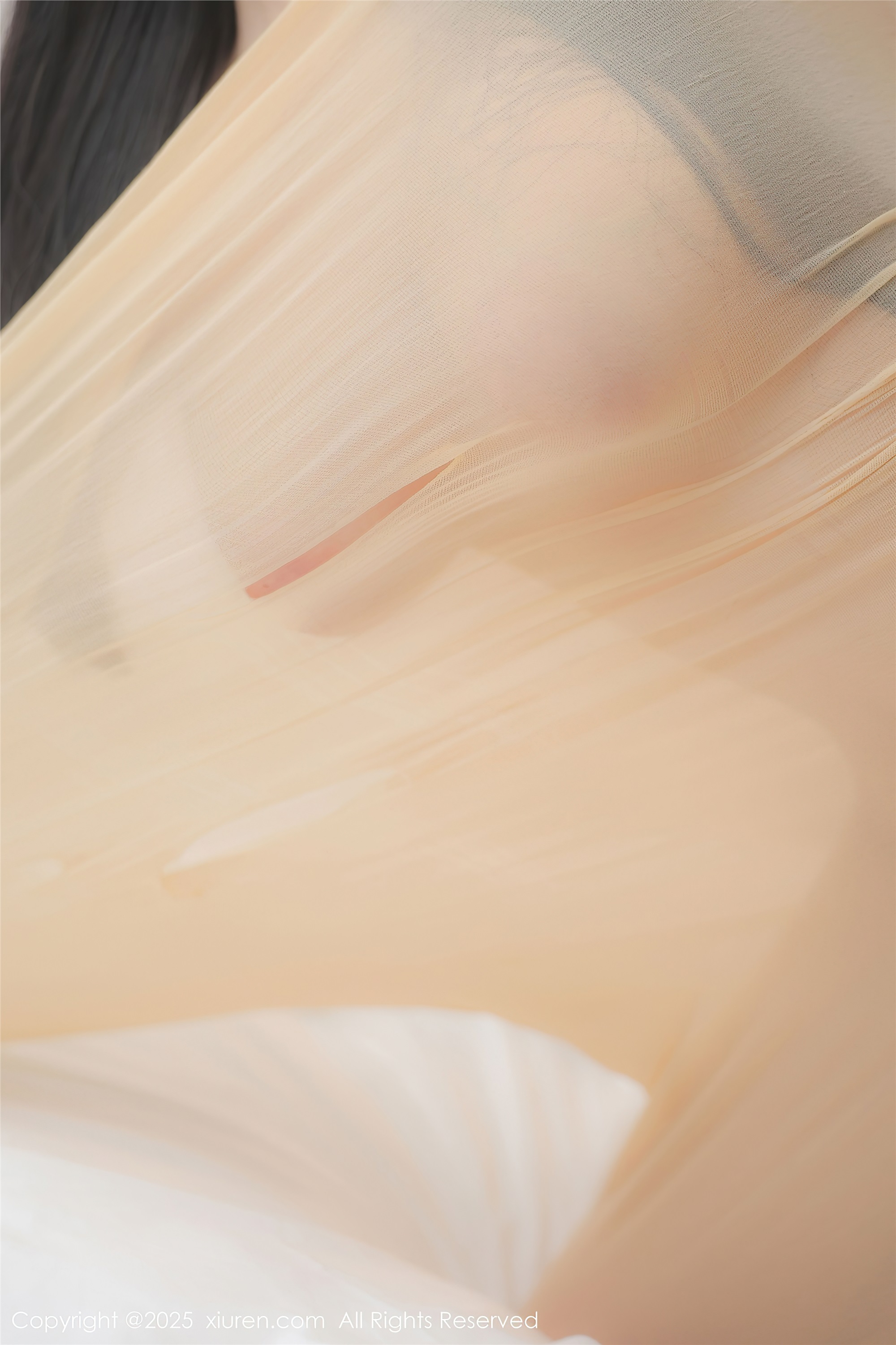 Xiuren秀人网 2025.01.26 NO.9825 余安安